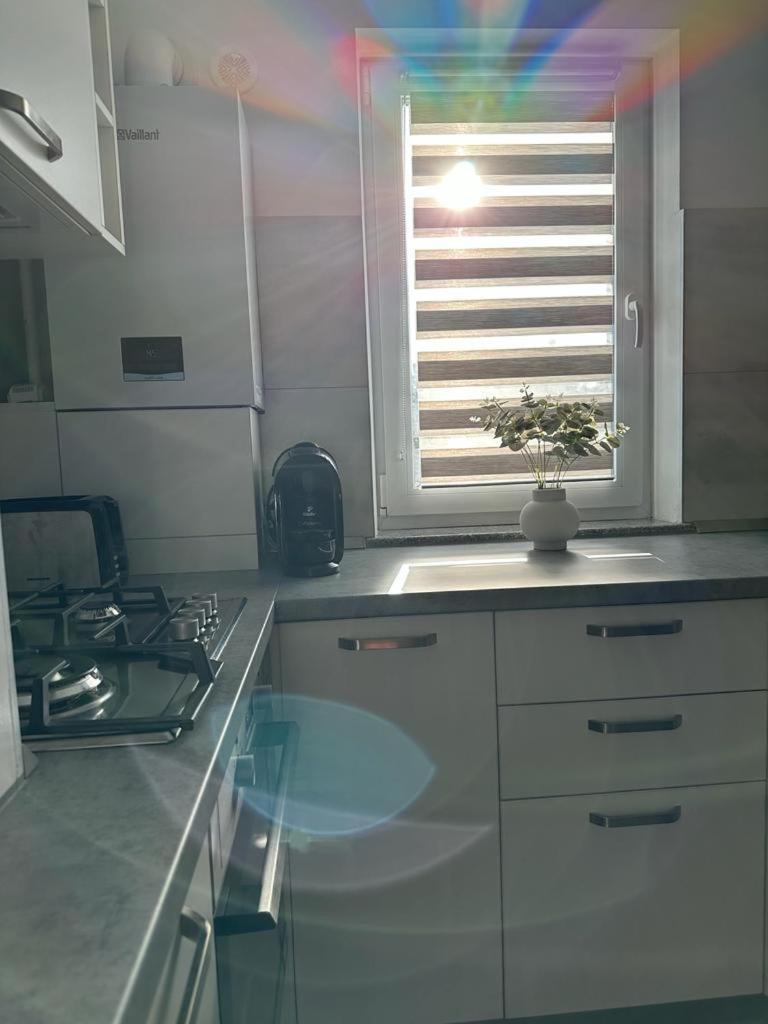 Cozy Studios In Σουκεάβα Εξωτερικό φωτογραφία